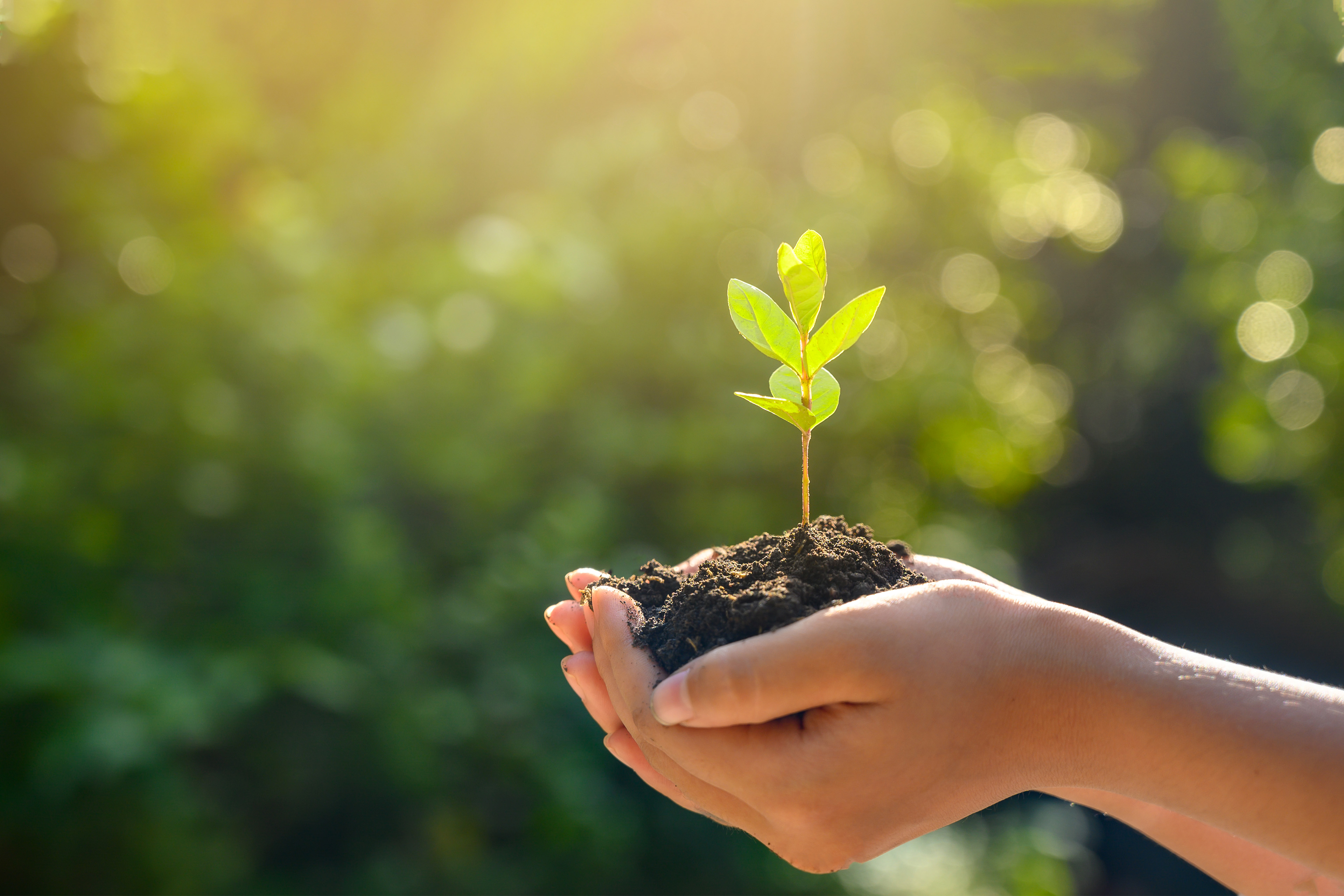 sustainability
