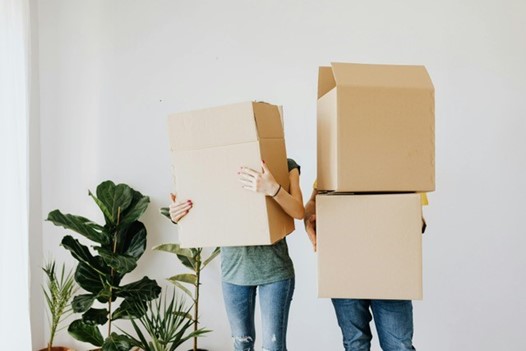 People carrying boxes in a house move